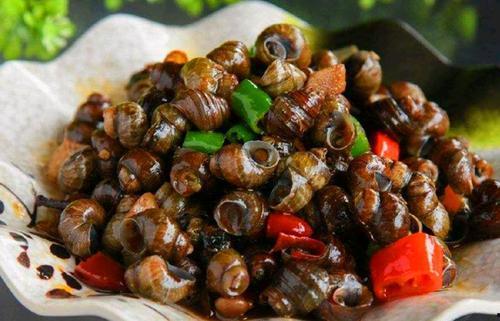 吃田螺可以吃白瓜吗视频,探寻美味佳肴的完美组合