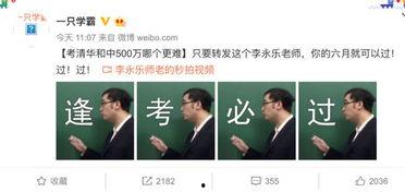 吃瓜老板科普视频,一场关于瓜果知识的科普盛宴