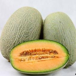 视频大人吃哈密瓜,甜蜜滋味尽享其中