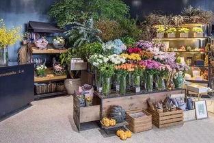 唐山花店事件吃瓜视频,一场网络热议的吃瓜视频揭秘