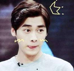 李易峰被抓吃瓜视频大全,吃瓜群众热议视频大全回顾