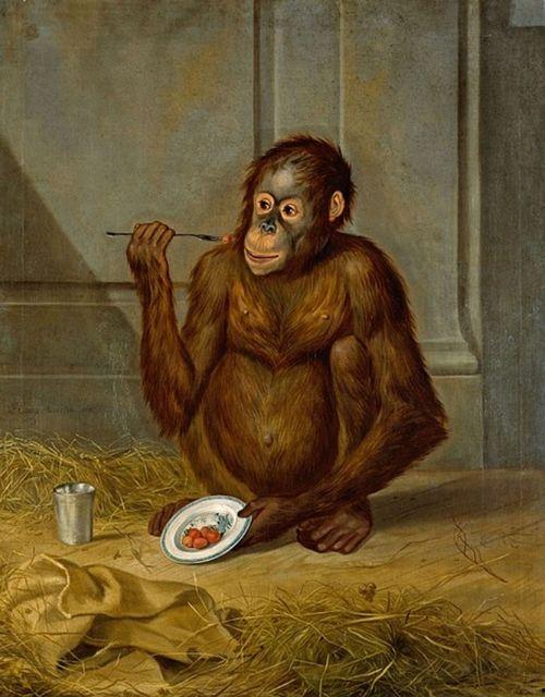 吃瓜吃出猿猴视频,一瓜解锁猿猴世界