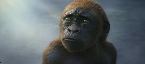 吃瓜吃出猿猴视频,一瓜解锁猿猴世界