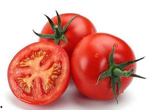 小瓜吃番茄吗会胖吗视频,真的会胖吗？营养专家揭秘