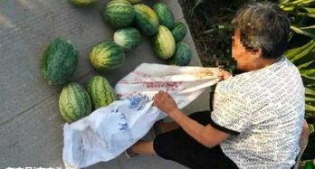 庄河最新吃瓜视频,揭秘幕后真相，带你领略网络风云