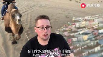 吃瓜视频大全大叔,大叔带你领略网络奇观