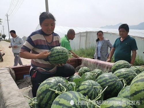 西安财经吃瓜事件真相视频,真相视频背后的真相揭晓