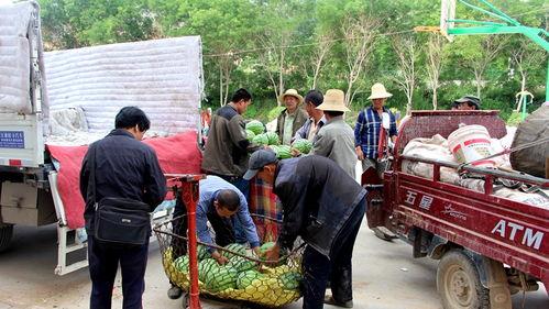 贵州布依族吃瓜群众视频