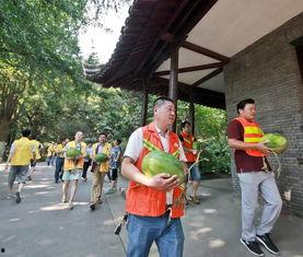 贵州布依族吃瓜群众视频