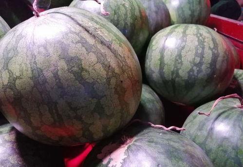 瓜地吃瓜视频怎么拍,轻松拍出夏日清凉瞬间