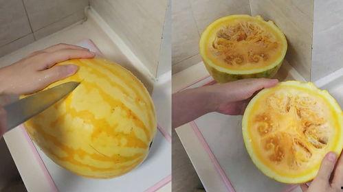 瓜地吃瓜视频怎么拍,轻松拍出夏日清凉瞬间