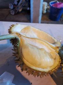 爱可可酒店视频吃瓜图片,一场视觉盛宴的吃瓜之旅