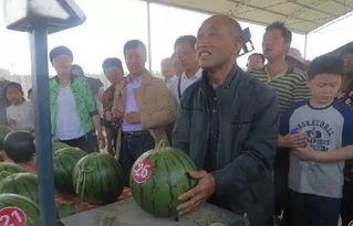 大城县吃瓜群众视频曝光,揭秘当地民生热点事件