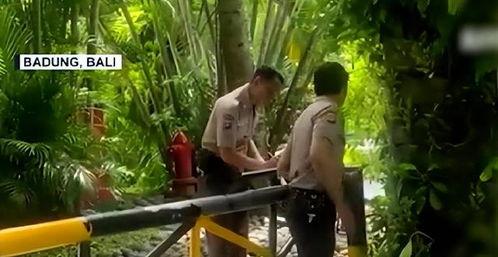 巴厘岛命案吃瓜事件视频