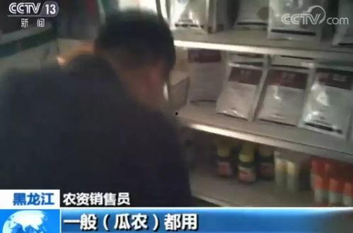 聊城吃瓜事件视频曝光,视频曝光揭示惊人真相