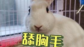 抖音吃瓜海王是谁啊视频,吃瓜海王究竟是谁？