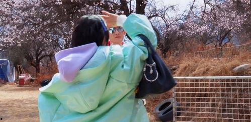 全员吃瓜大结局视频,揭秘真相，笑料横生！