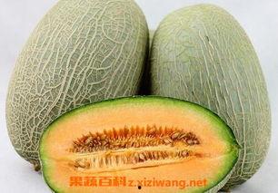 在国外吃哈密瓜犯法吗视频