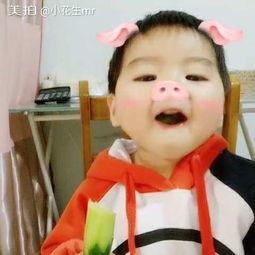 大型小猪吃瓜视频