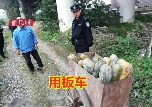 信阳罗山吃瓜事件真相视频,真相视频还原事件始末