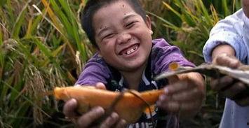 稻田吃瓜小女孩儿视频,小女孩儿与瓜果的欢乐时光