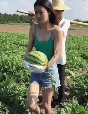 吃瓜偷瓜贼视频,吃瓜群众围观热议