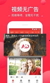 吃瓜网友宣言视频下载,揭秘吃瓜网友宣言视频下载背后的故事