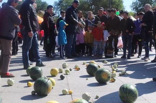 吃瓜比赛怎么玩视频教学,轻松学会趣味竞技新玩法