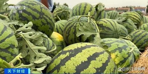 菏泽吃瓜新事件视频,揭秘幕后真相与网络热议