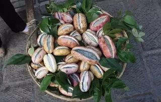 歪果仁吃八月瓜视频大全,一场跨国美食冒险之旅