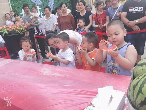 全家福吃瓜群众视频,一场意外的视频狂欢