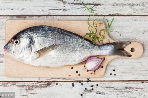 买鱼吃瓜的视频大全下载,笑料百出，精彩纷呈！