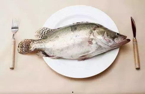 买鱼吃瓜的视频大全下载,笑料百出，精彩纷呈！