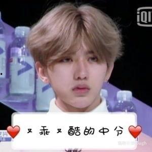 直播吃瓜蔡徐坤视频下载,揭秘蔡徐坤视频下载背后的故事