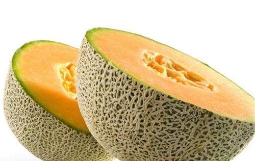 小蒋在大厅吃哈密瓜视频,小蒋大厅畅享哈密瓜美味时光