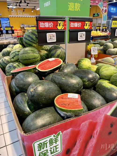 酒泉市吃瓜视频,趣味横生的市井生活