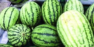 吃瓜视频都哪里来的,吃瓜视频的来源与传播途径