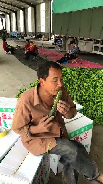 搬砖人吃瓜视频