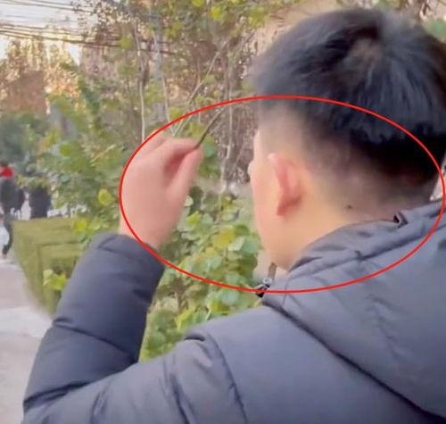 网友吵架吃瓜视频,一场吃瓜群众的围观盛宴