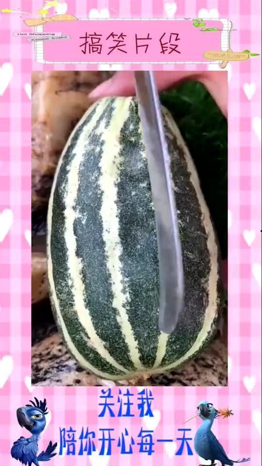 吃瓜视频的配乐叫什么名字,揭秘“吃瓜视频”热门配乐背后的故事