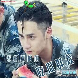 吃瓜群众动态视频下载