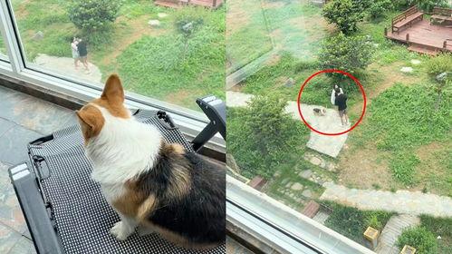 吵架吃瓜的声音视频