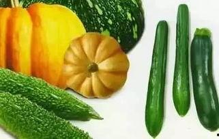 什么系列的吃瓜视频好看