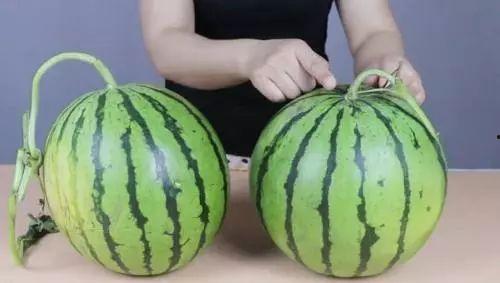 放大点吃瓜视频,带你领略网络热点的魅力与争议