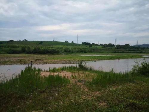 网友投稿吃瓜故事视频,一场吃瓜盛宴，揭秘娱乐圈背后的秘密