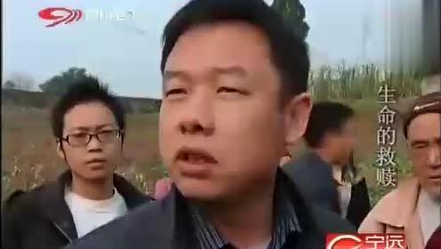 陈真霸道吃瓜视频,揭秘娱乐圈幕后真相