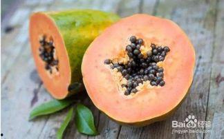 胃下垂可以吃蒲瓜吗视频