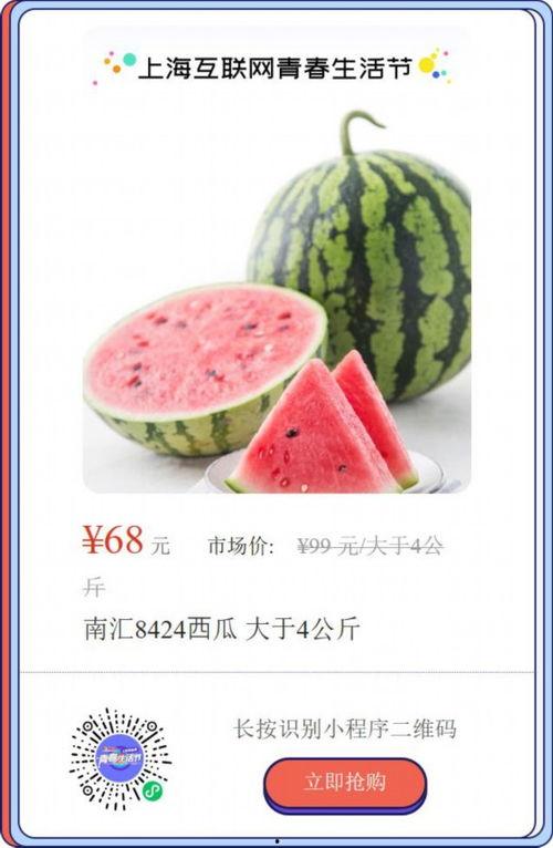 吃瓜上海视频,吃瓜视频背后的城市生活画卷