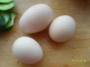 玉囊瓜怎么吃才好吃视频,视频教你轻松享美食