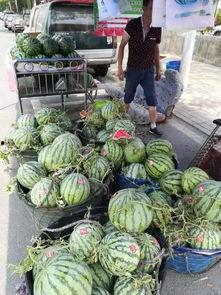 洪洞吃瓜事件视频最新,真相揭秘，网络暴力下的社会反思